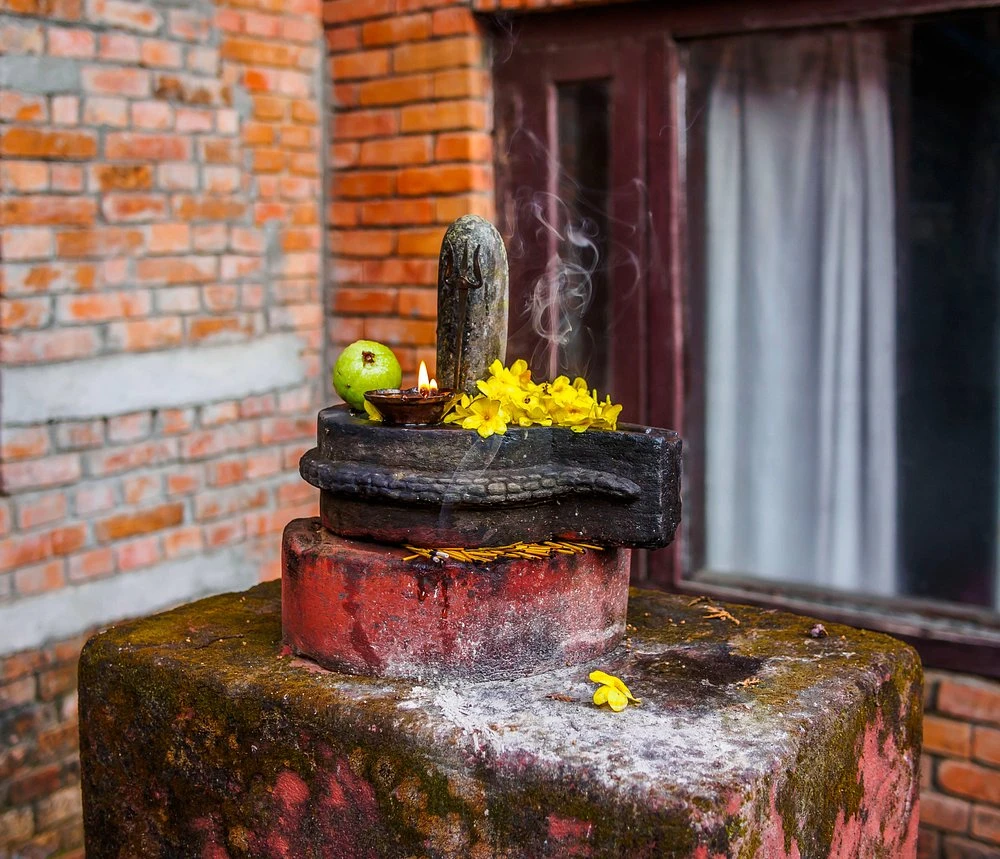 When Nature Meets Nurture